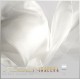 Organza-Schal 2.8, 40 x 150cm, naturweiss